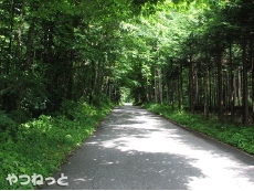 tunnel01.jpg