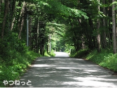 tunnel02.jpg